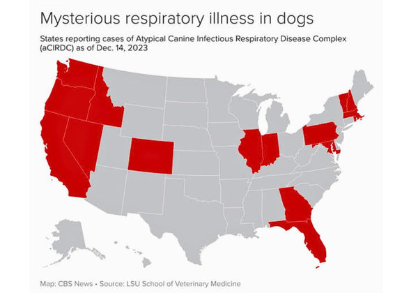 Map About the Mysterious Respiratory Illness in Dogs in the US