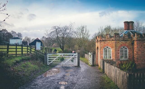 Open Gate at Farm House