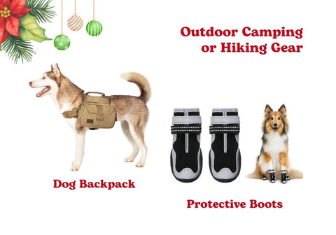 Outdoor Camping or Hiking Gear for Dogs