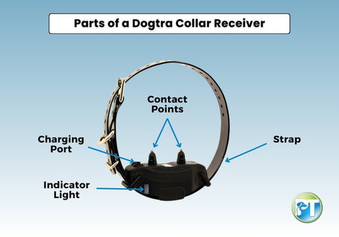 Parts of a Dogtra Collar Receiver