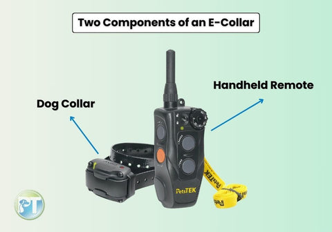 Parts of an E-Collar for Dogs