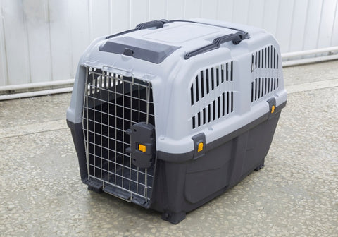 Pet Carrier for Transportation