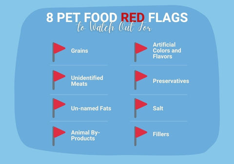Pet Food Red Flags to Watch Out For