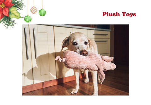 Plush Toys for Dogs