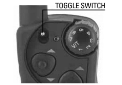 Programming the SD-3225 for 2-Dog Operation