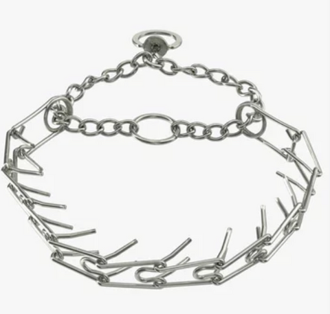Prong Collar on White Background