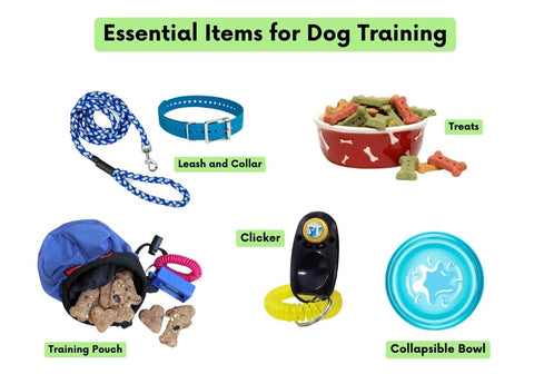 Public Dog Training Kit