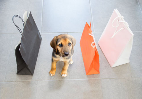 Puppy Surrounded by Shopping Bags