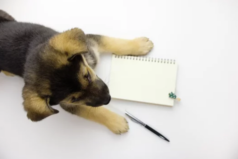 Puppy with Noteboook and Pen