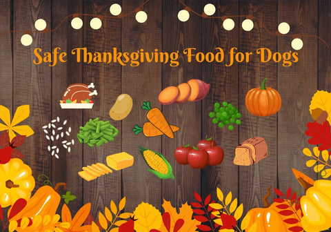 Safe Thanksgiving Food for Dogs