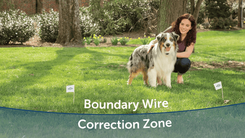 Sample E-Fence Boundary and Corretion Zone