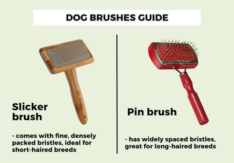 Slicker Brush vs Pin Brush for Dogs