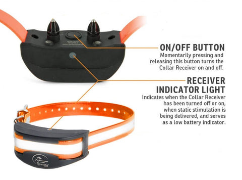 Remote Training Collar Indicator Lights