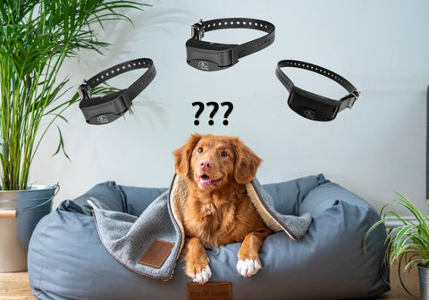 SportDog No Bark Collars – A Comparative Review of the 3 Best Models