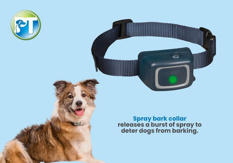 Spray Bark Collar with Text