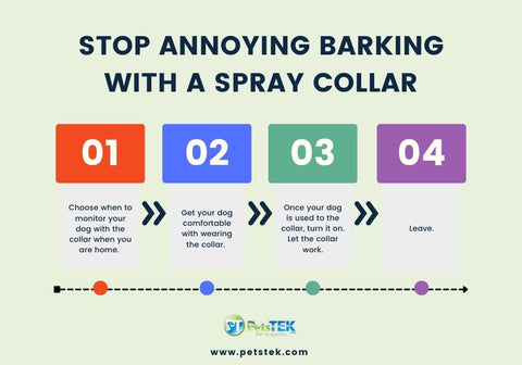 Steps to Stop Annoying Barking