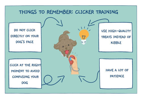 Things to Remember for Clicker Training Infographic