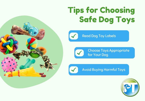 Tips for Choosing Safe Dog Toys Chart