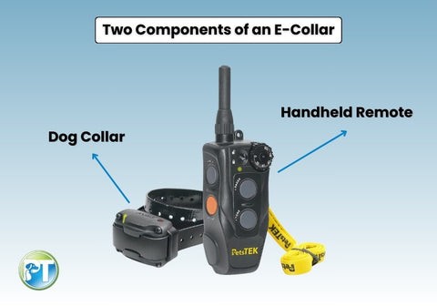 Two Components of an E-Collar