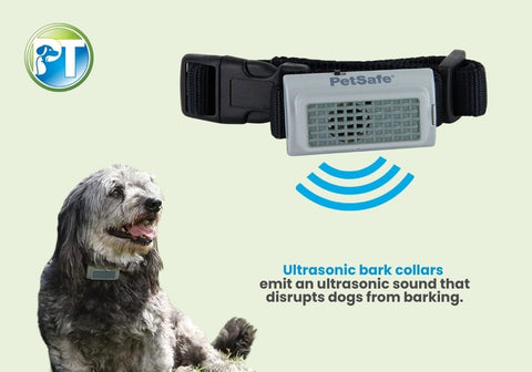 Dog Wearing an Ultrasonic Bark Collar with Text