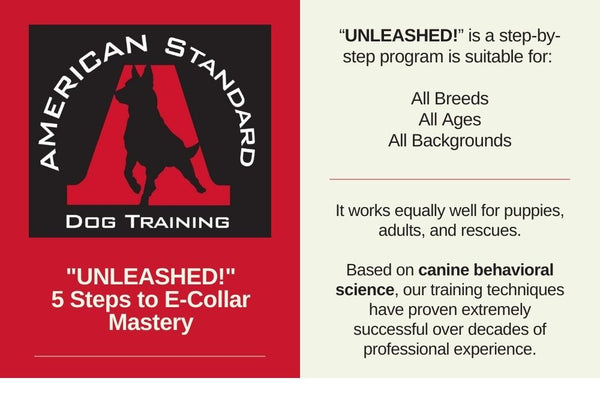 Unleashed For All Breeds and Sizes