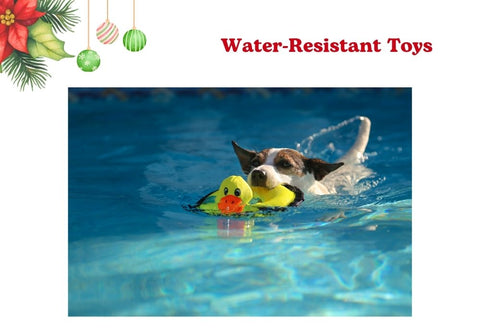 Water-Resistant Toys for Dogs