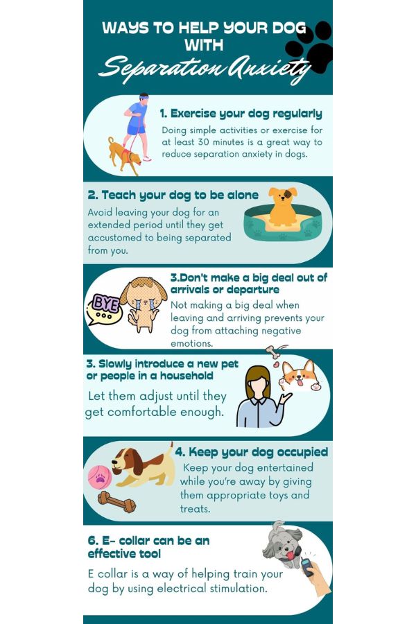 Ways to Help Dog with Separation Anxiety Infographic