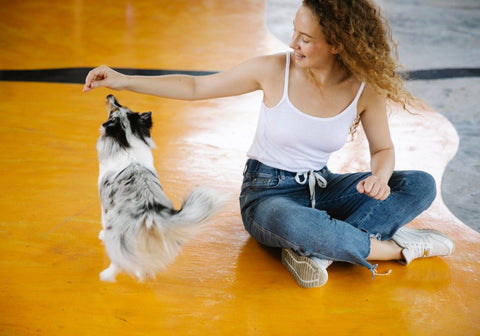 Woman Training Dog to Spin