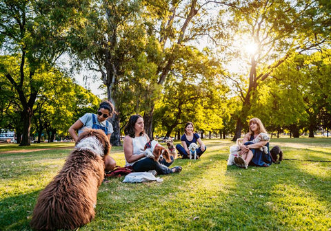 Women with Their Dogs in the Park