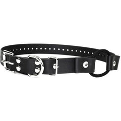 Bungee Collar Strap