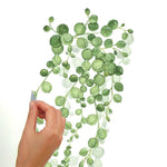 STRING OF PEARLS HANGING VINES & Leaves2 large Wall Decals MURAL Home Decor Stickers - EonShoppee