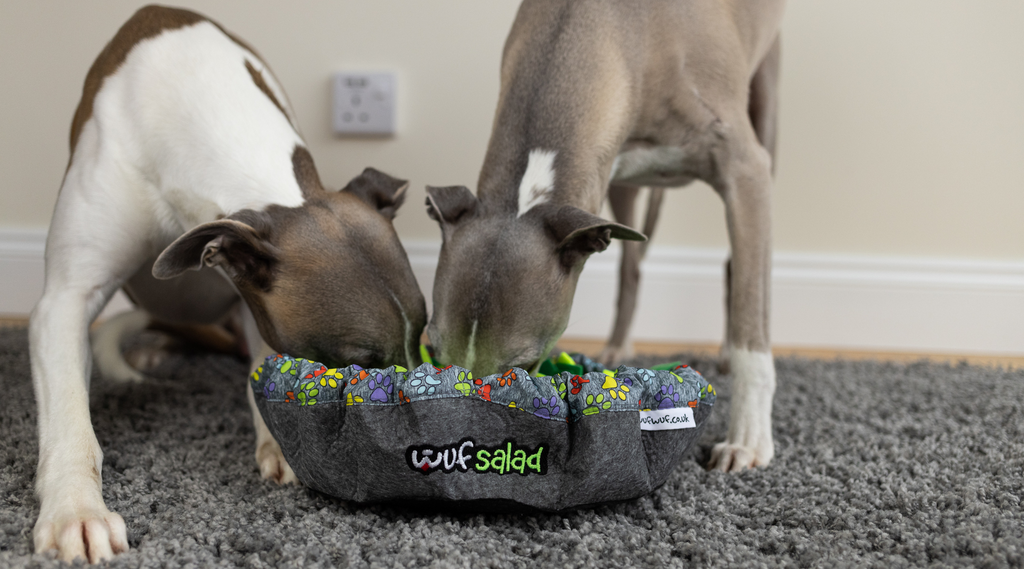 WufSalad Snuffle Mat