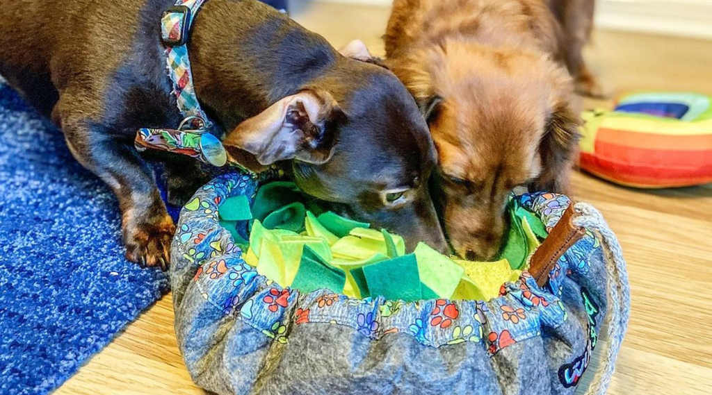 dogs eating from a snuffle mat
