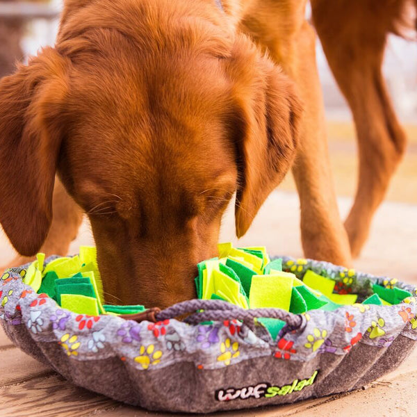 Snuffle Mat for Dogs, 17'' x 21'' Dog Sniffing Mat Interactive