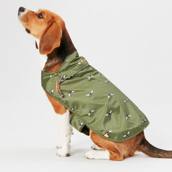 joules bee coat dog