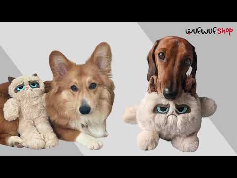 grumpy cat dog toy