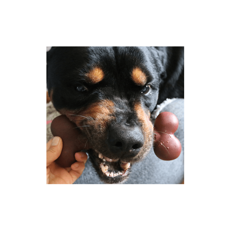 dog chewing nylon dog chew toy