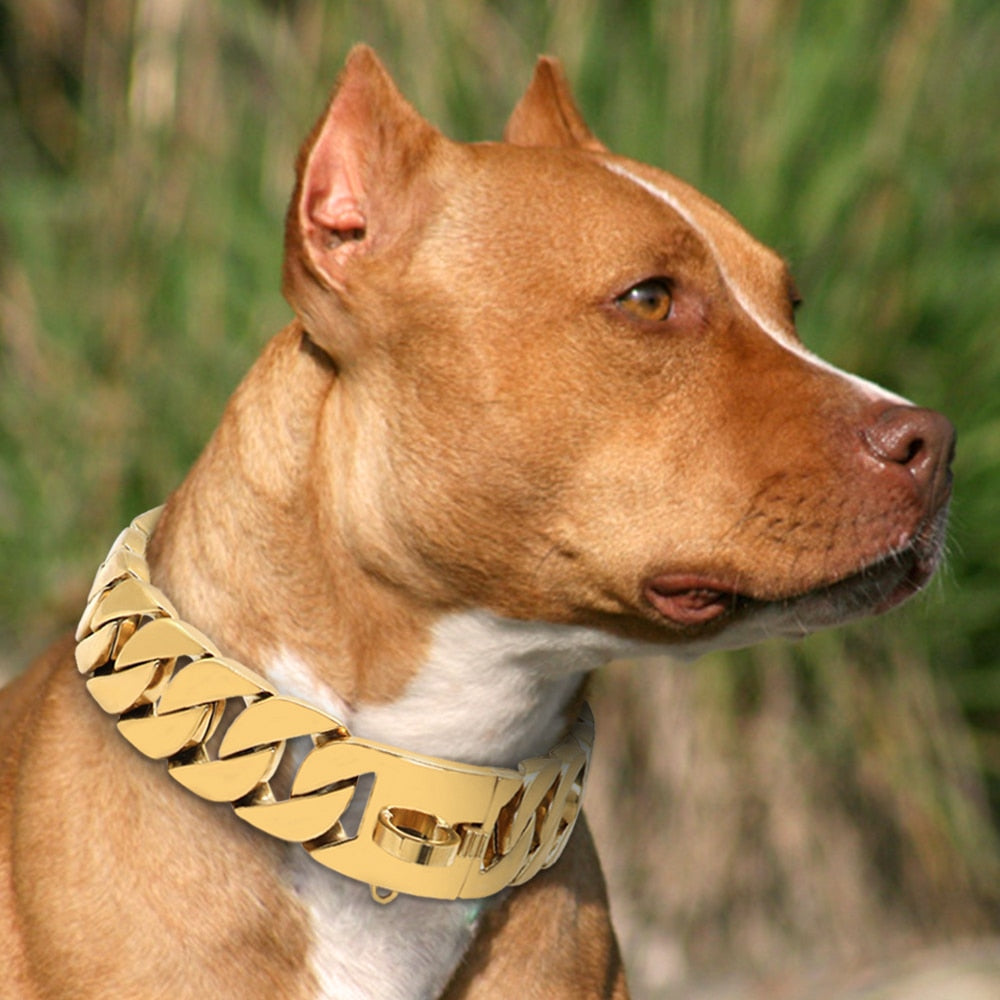 cuban link dog collar