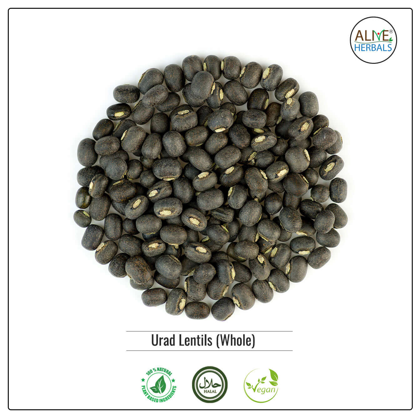 urad dal plant