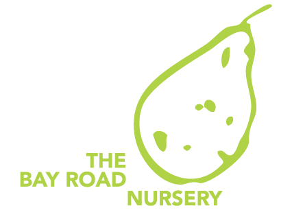 Bay Road Nursery