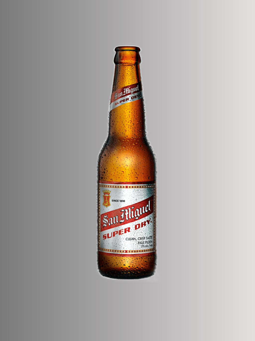 Pilsen Miguel – San Pale 1Liter LiquorHabits