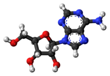 Adenosine molecule