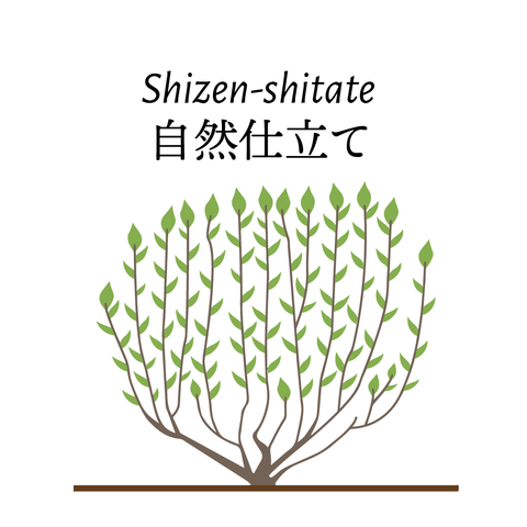 Shizen-shitate