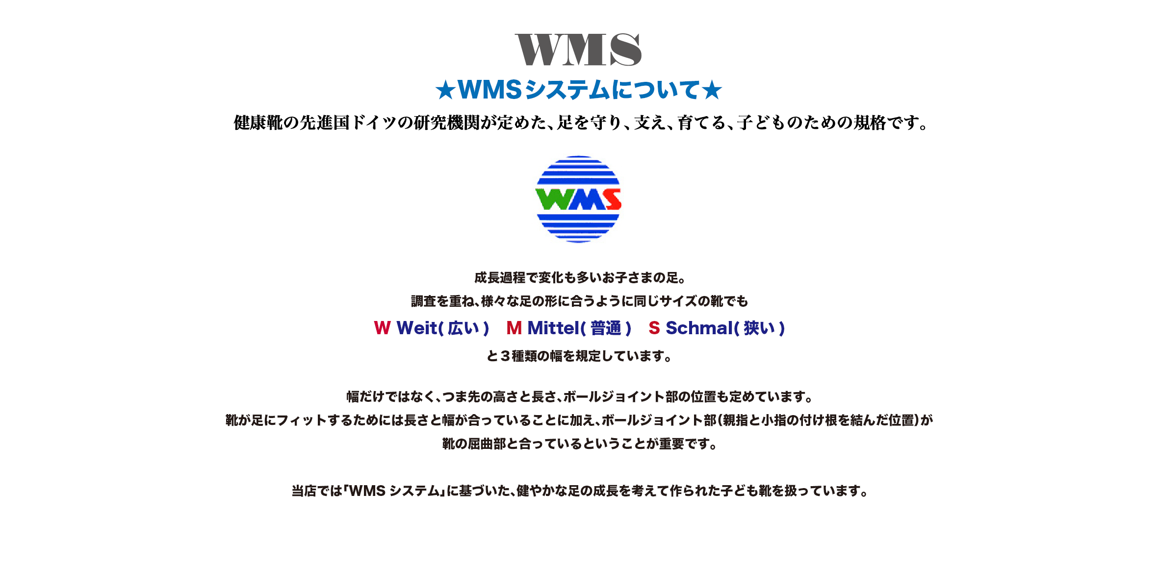 WMSシステムについて