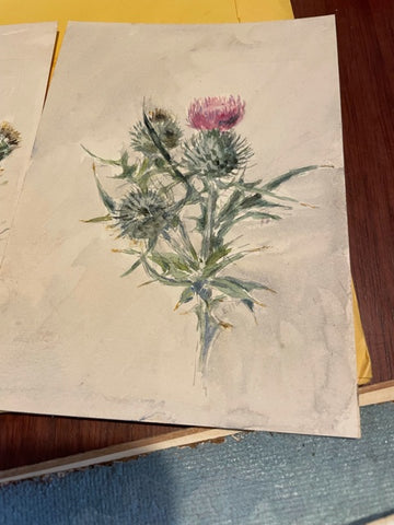 Water colour Scottish Thistle 