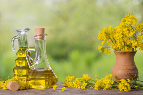 Is-Vegetable-Oil-the-Same-as-Canola-Oil