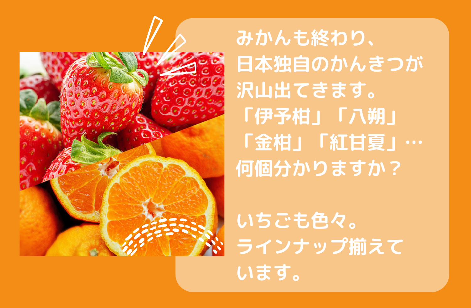 いちご、日本の柑橘特集 – 九州屋plus+