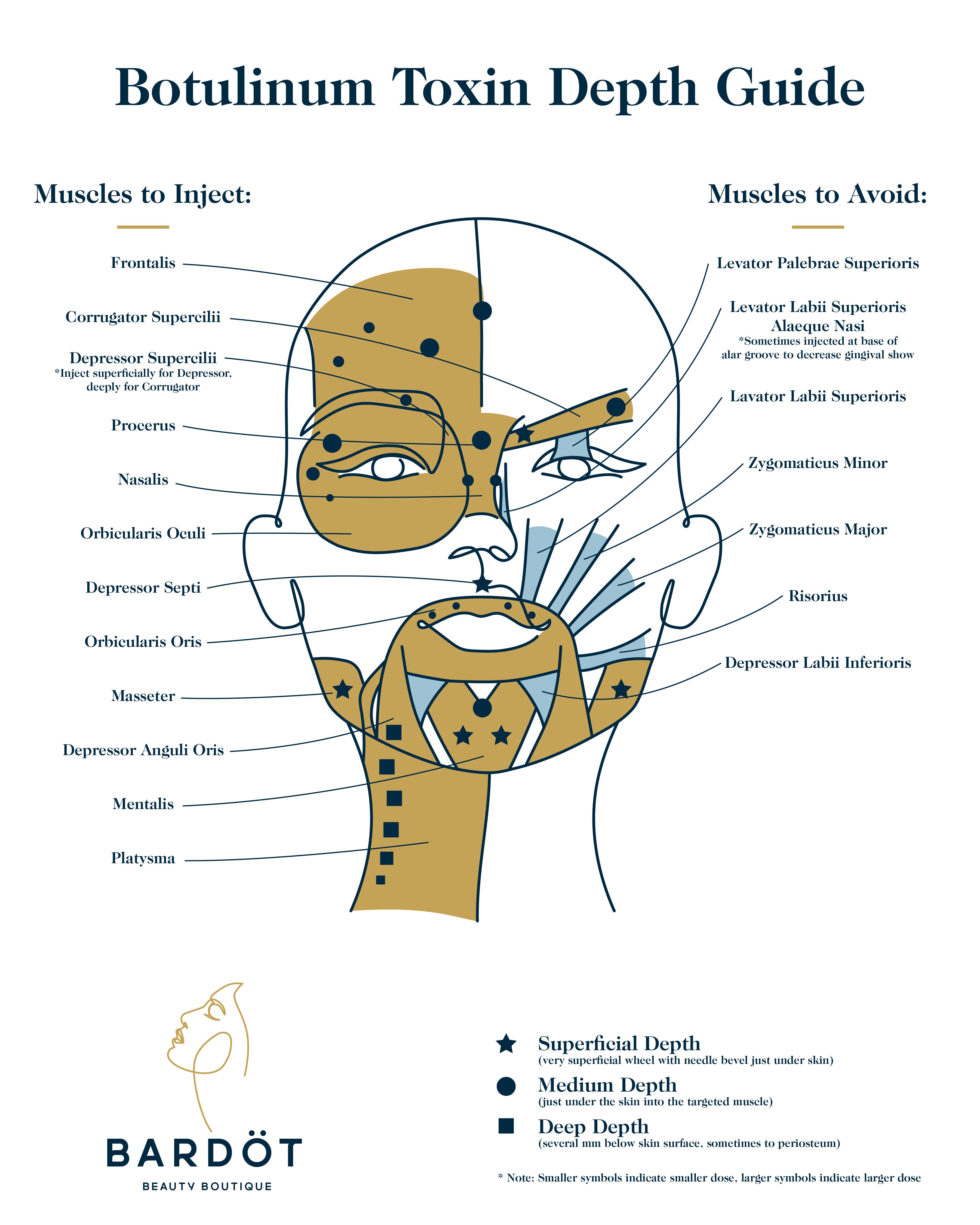 Botulinum Toxin Depth Guide