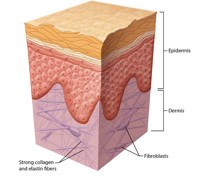 Youth Skin - Eye Conditions Calgary