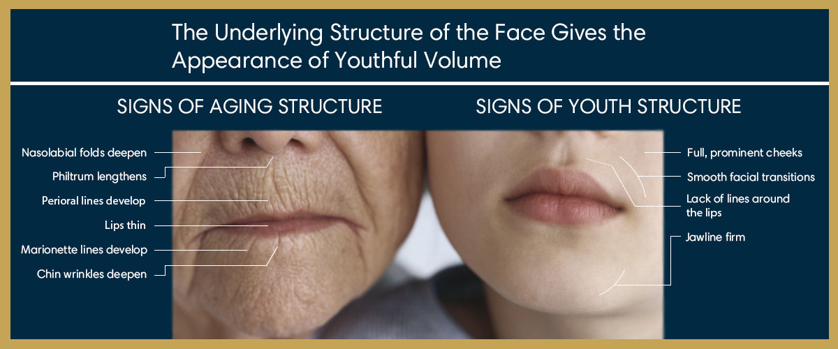 Sculptra Graphic of Underlying Structure